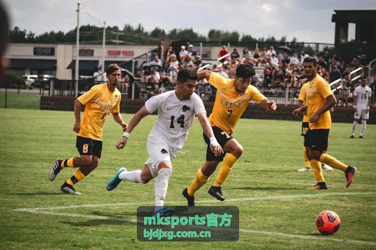 mksports官方深度数据统计展示