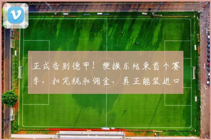 正式告别德甲！樊振东结束首个赛季，扣完税和佣金，真正能装进口袋的有多少？_萨尔布吕肯_欧元_薪资