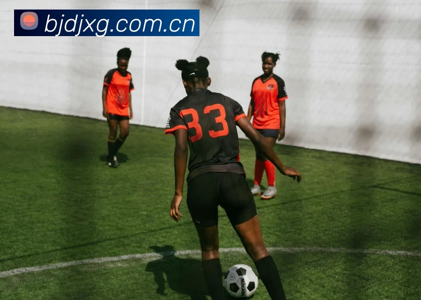 leyu体育官网服务体系